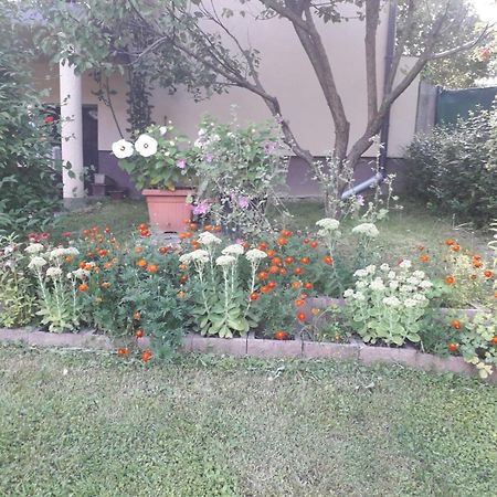 Kuca Za Odmor Bajtica Villa Jesenovec Dış mekan fotoğraf