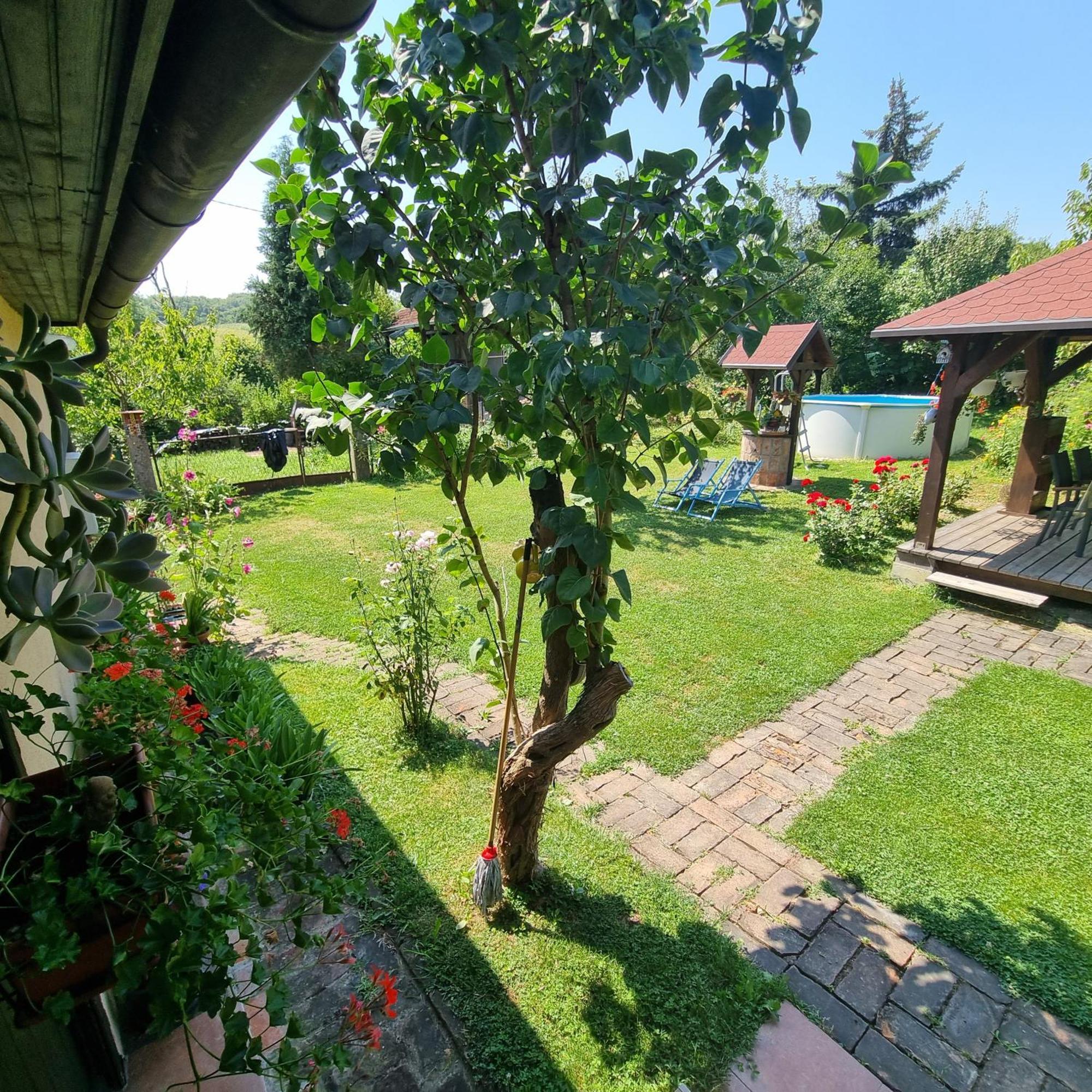 Kuca Za Odmor Bajtica Villa Jesenovec Dış mekan fotoğraf