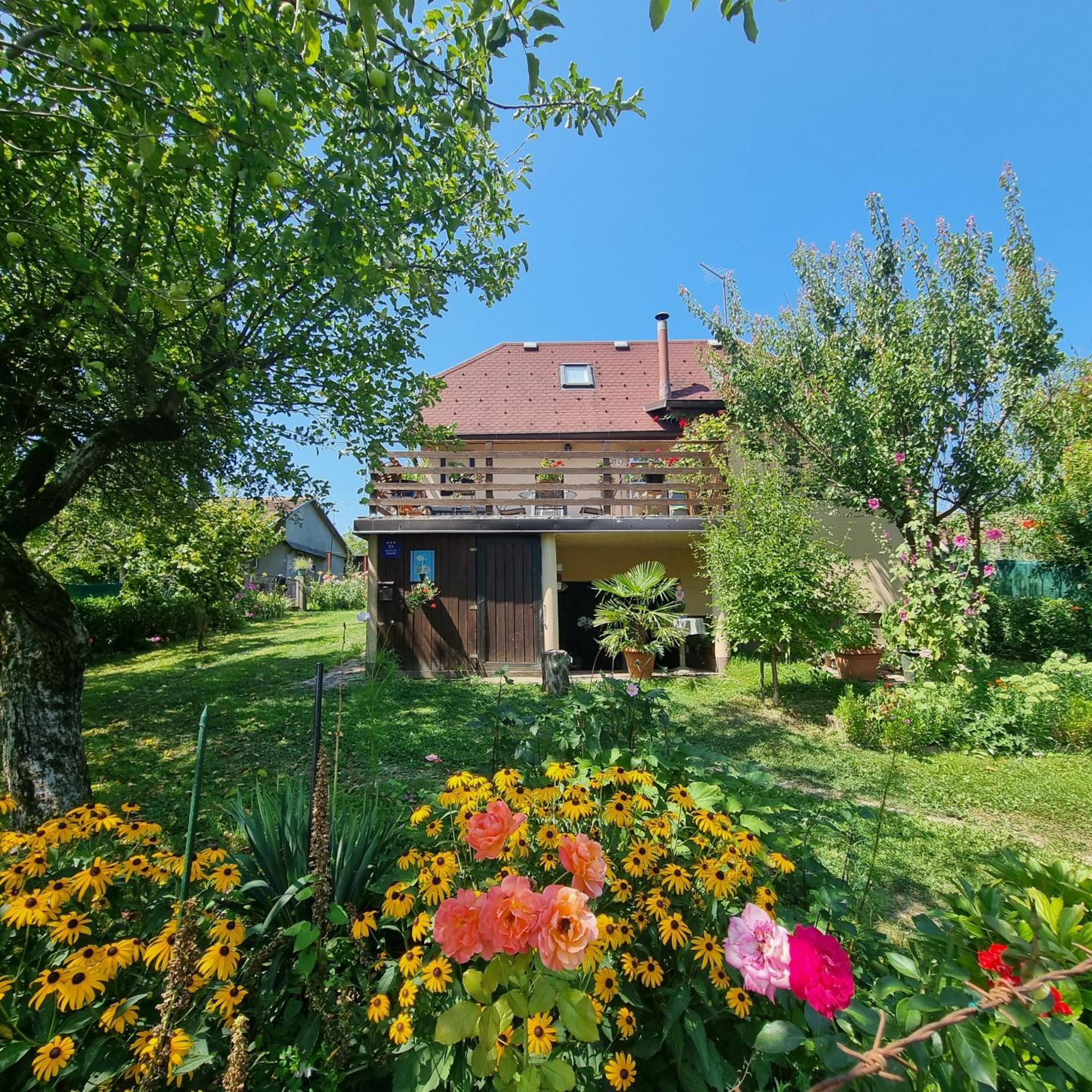 Kuca Za Odmor Bajtica Villa Jesenovec Dış mekan fotoğraf