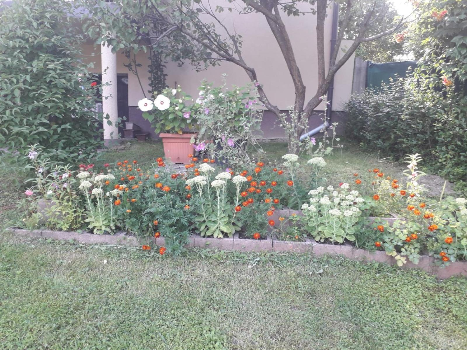 Kuca Za Odmor Bajtica Villa Jesenovec Dış mekan fotoğraf